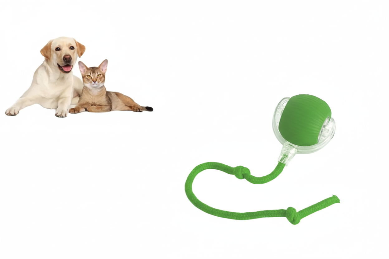 Pelota Rodante para mascotas