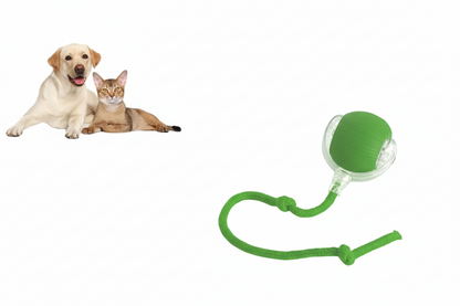 Pelota Rodante para mascotas