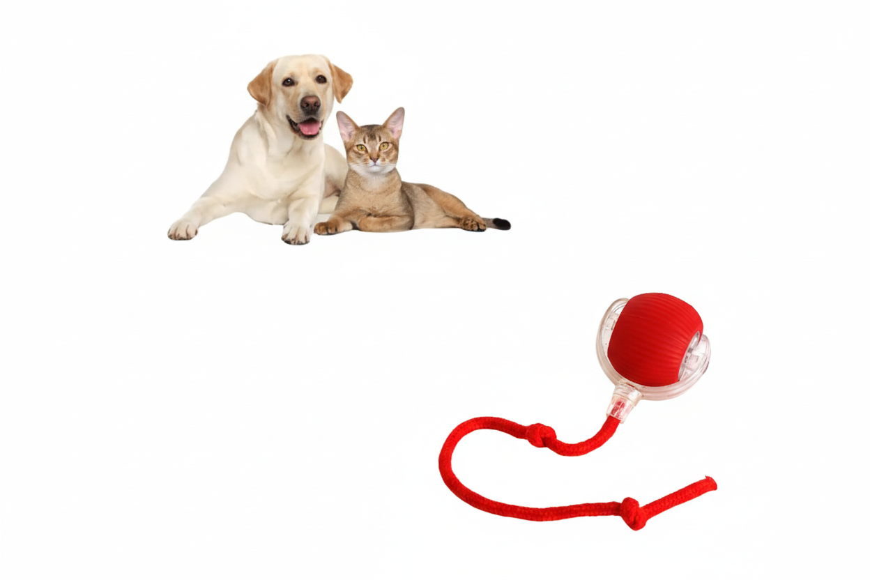 Pelota Rodante para mascotas