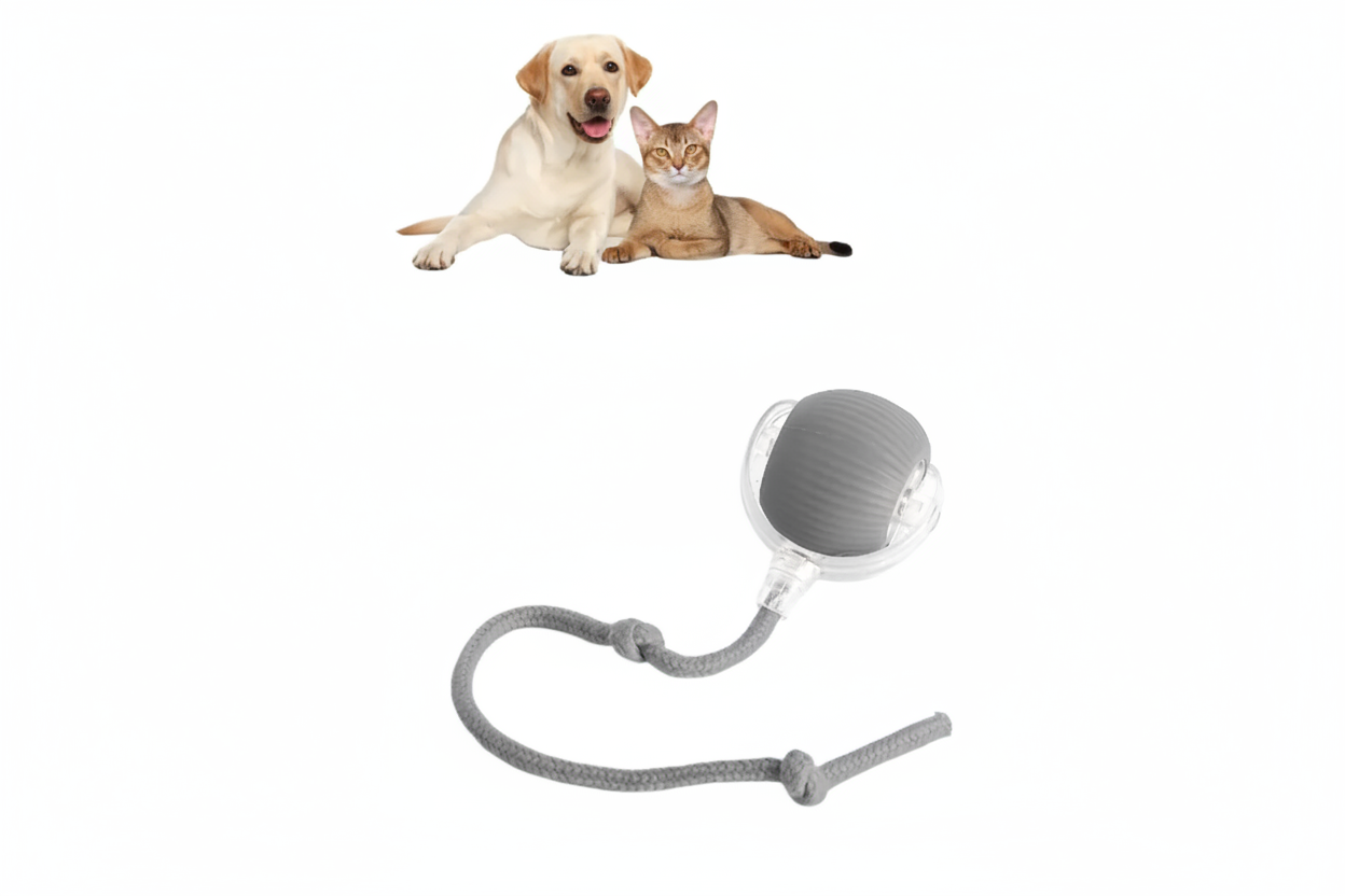 Pelota Rodante para mascotas