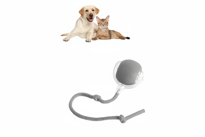 Pelota Rodante para mascotas